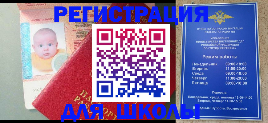 временная регистрация гарантия в Истре